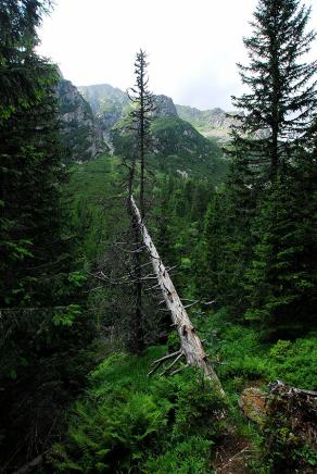 Impressions from Hohe Tatra / Vysoké Tatry #77, Hohe Tatra / Vysoké Tatry, Juli 2014
