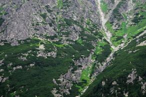 Impressions from… #89, Hohe Tatra / Vysoké Tatry, Juli 2014