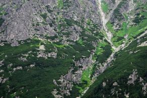 Impressions from Hohe Tatra / Vysoké Tatry #89, Hohe Tatra / Vysoké Tatry, Juli 2014