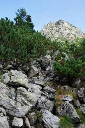 Impressions from Hohe Tatra / Vysoké Tatry #95, Hohe Tatra / Vysoké Tatry, Juli 2014