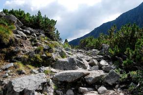 Impressions from Hohe Tatra / Vysoké Tatry #98, Hohe Tatra / Vysoké Tatry, Juli 2014