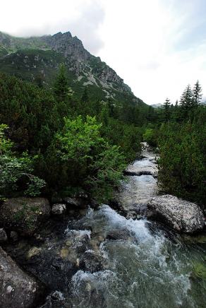 Impressions from Hohe Tatra / Vysoké Tatry #107, Hohe Tatra / Vysoké Tatry, Juli 2014