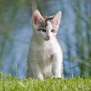 Whitsun Weekend #2, Ihlow, Mai 2007