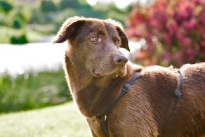 Whitsun Weekend #3, Ihlow, Mai 2007