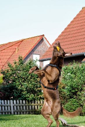 Whitsun Weekend #5, Ihlow, Mai 2007