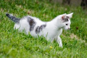 Whitsun Weekend #10, Ihlow, Mai 2007