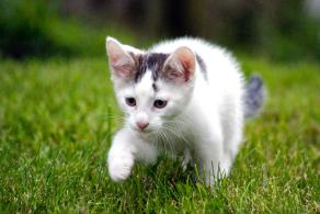 Whitsun Weekend #11, Ihlow, Mai 2007