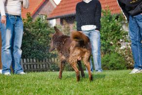 Whitsun Weekend #19, Ihlow, Mai 2007