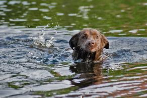 Whitsun Weekend #20, Ihlow, Mai 2007