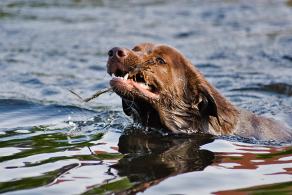 Whitsun Weekend #21, Ihlow, Mai 2007