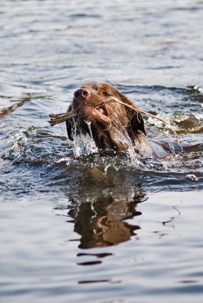 Whitsun Weekend #22, Ihlow, Mai 2007