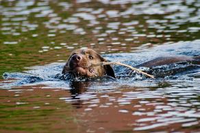 Whitsun Weekend #23, Ihlow, Mai 2007