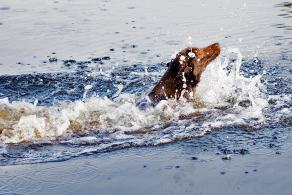 Whitsun Weekend #27, Ihlow, Mai 2007