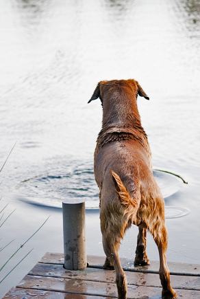 Whitsun Weekend #28, Ihlow, Mai 2007