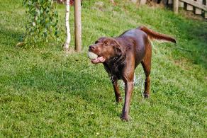 Whitsun Weekend #30, Ihlow, Mai 2007