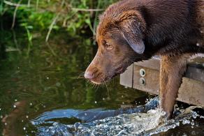 Whitsun Weekend #31, Ihlow, Mai 2007