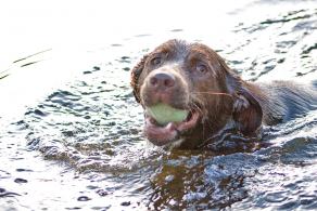 Whitsun Weekend #32, Ihlow, Mai 2007