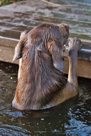 Whitsun Weekend #33, Ihlow, Mai 2007