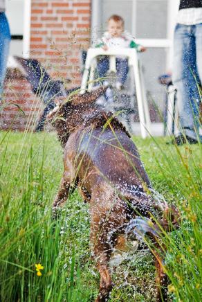 Whitsun Weekend #34, Ihlow, Mai 2007