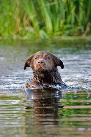 Whitsun Weekend #36, Ihlow, Mai 2007