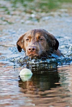 Whitsun Weekend #37, Ihlow, Mai 2007