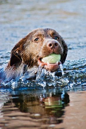 Whitsun Weekend #38, Ihlow, Mai 2007