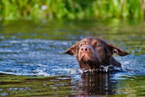 Whitsun Weekend #39, Ihlow, Mai 2007