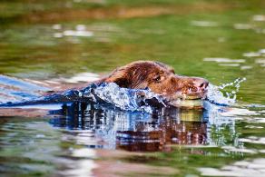 Whitsun Weekend #40, Ihlow, Mai 2007