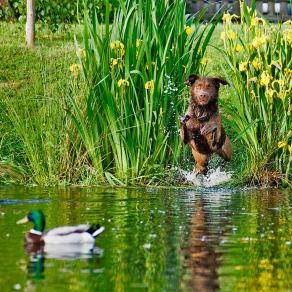 Whitsun Weekend #41, Ihlow, Mai 2007