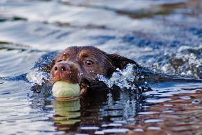 Whitsun Weekend #42, Ihlow, Mai 2007