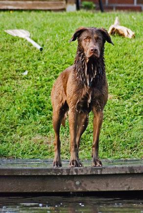 Whitsun Weekend #49, Ihlow, Mai 2007