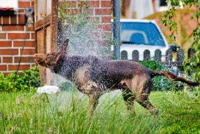 Whitsun Weekend #52, Ihlow, Mai 2007