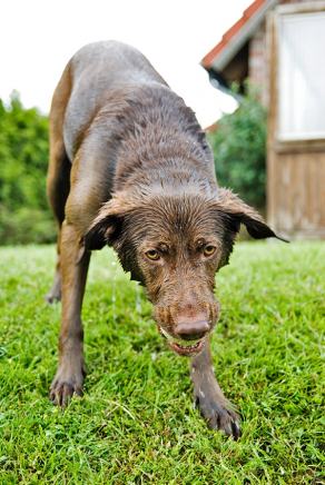 Whitsun Weekend #56, Ihlow, Mai 2007