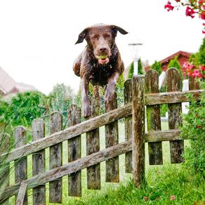 Whitsun Weekend #57, Ihlow, Mai 2007