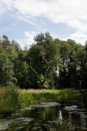 Impressions from Fluss Brda / Spływ Brda #19, Fluss Brda / Spływ Brda, August 2013
