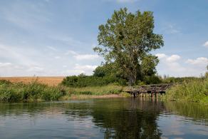 Impressions from… #55, Fluss Brda / Spływ Brda, August 2013
