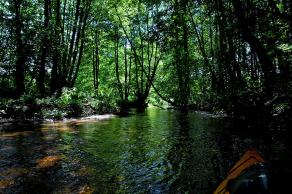 Impressions from Nationalpark Drawa / Drawieński Park Narodowy #8, Nationalpark Drawa / Drawieński Park Narodowy, August 2015
