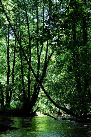 Impressions from Nationalpark Drawa / Drawieński Park Narodowy #9, Nationalpark Drawa / Drawieński Park Narodowy, August 2015