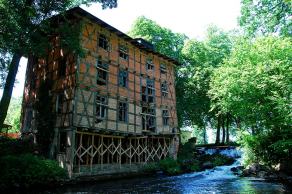 Impressions from Nationalpark Drawa / Drawieński Park Narodowy #10, Nationalpark Drawa / Drawieński Park Narodowy, August 2015