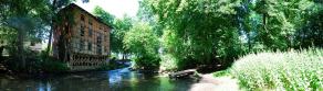 Impressions from Nationalpark Drawa / Drawieński Park Narodowy #11, Nationalpark Drawa / Drawieński Park Narodowy, August 2015