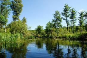 Impressions from Nationalpark Drawa / Drawieński Park Narodowy #12, Nationalpark Drawa / Drawieński Park Narodowy, August 2015