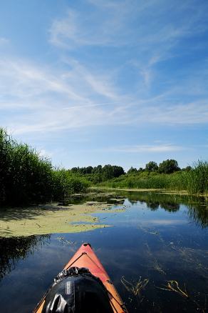 Impressions from Nationalpark Drawa / Drawieński Park Narodowy #13, Nationalpark Drawa / Drawieński Park Narodowy, August 2015