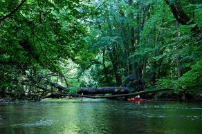 Impressions from Nationalpark Drawa / Drawieński Park Narodowy #18, Nationalpark Drawa / Drawieński Park Narodowy, August 2015