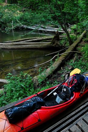 Impressions from Nationalpark Drawa / Drawieński Park Narodowy #19, Nationalpark Drawa / Drawieński Park Narodowy, August 2015