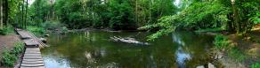 Impressions from Nationalpark Drawa / Drawieński Park Narodowy #20, Nationalpark Drawa / Drawieński Park Narodowy, August 2015