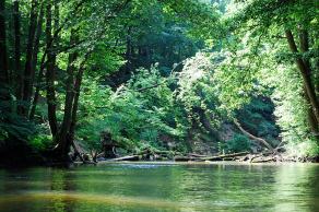 Impressions from Nationalpark Drawa / Drawieński Park Narodowy #24, Nationalpark Drawa / Drawieński Park Narodowy, August 2015