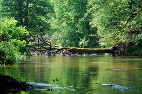 Impressions from Nationalpark Drawa / Drawieński Park Narodowy #27, Nationalpark Drawa / Drawieński Park Narodowy, August 2015