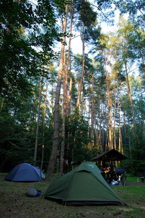 Impressions from Nationalpark Drawa / Drawieński Park Narodowy #28, Nationalpark Drawa / Drawieński Park Narodowy, August 2015