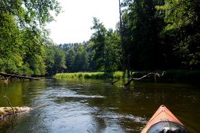 Impressions from Nationalpark Drawa / Drawieński Park Narodowy #31, Nationalpark Drawa / Drawieński Park Narodowy, August 2015
