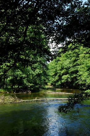 Impressions from Nationalpark Drawa / Drawieński Park Narodowy #36, Nationalpark Drawa / Drawieński Park Narodowy, August 2015